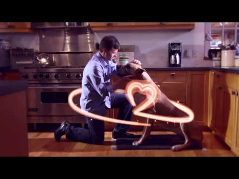 Видео о препарате Ветмедин таб. 5мг №100 (100 таблеток)